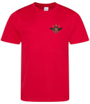 1st The Queen's Dragoon Guards Sports T-Shirt