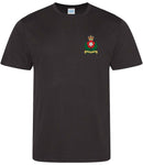 Intelligence Corps Sports T-Shirt