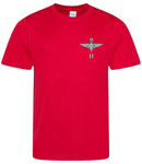 Parachute Regiment 2 PARA Sports T-Shirt