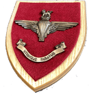 PARACHUTE REGIMENT Large Military Wall Plaque