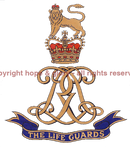 Beanie Hat - The Life Guards Beanie Hat