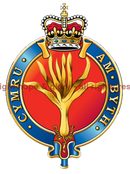 T-Shirts - Welsh Guards Sports T-Shirt